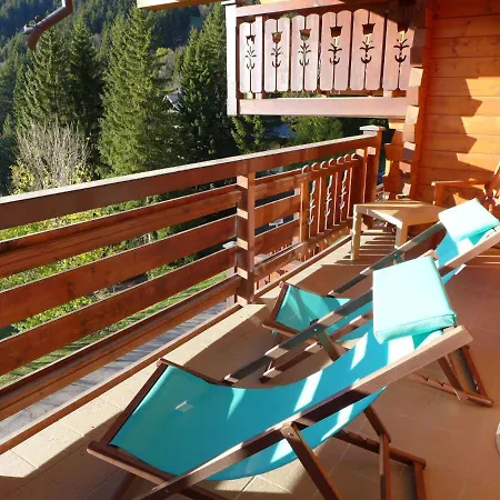Faucon B5 Villars-sur-Ollon